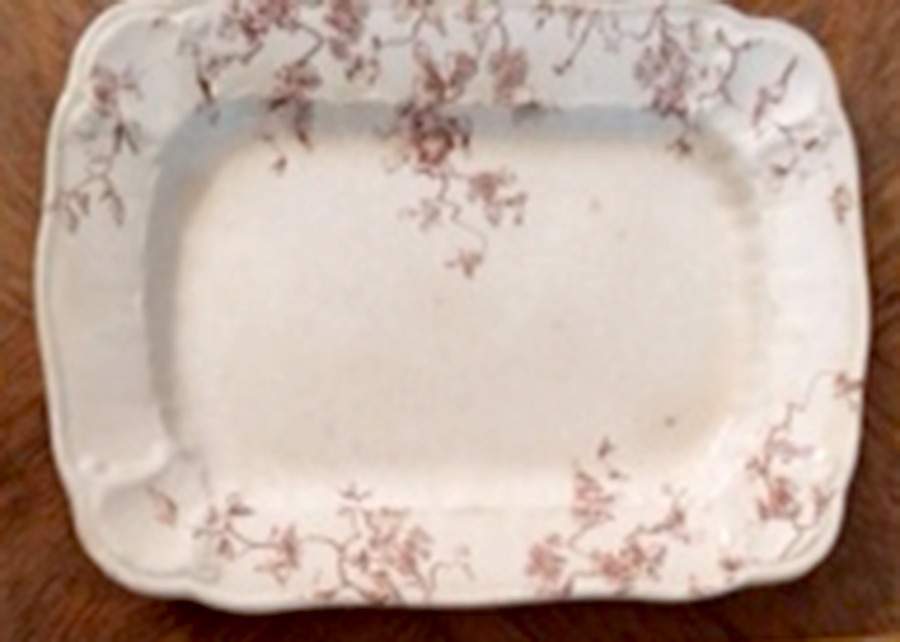 Waverley 11" Rectangular Serving Platter by Ridgway (Ridgways)-1