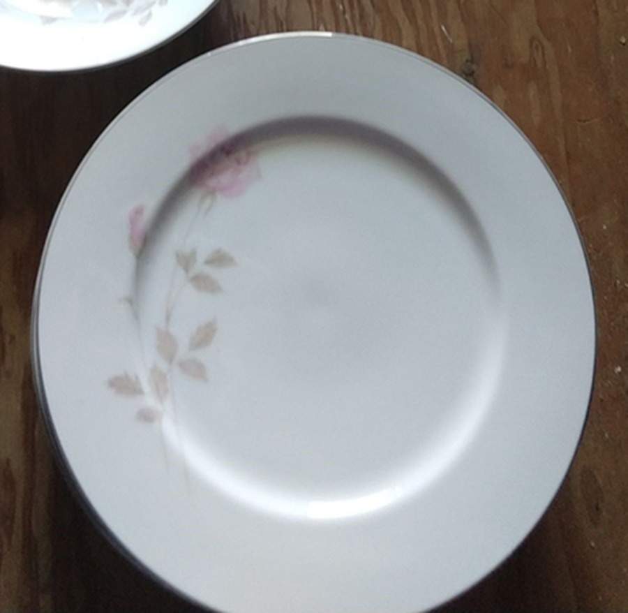 RCM4 Dinner Plate by Royal Cameo-1