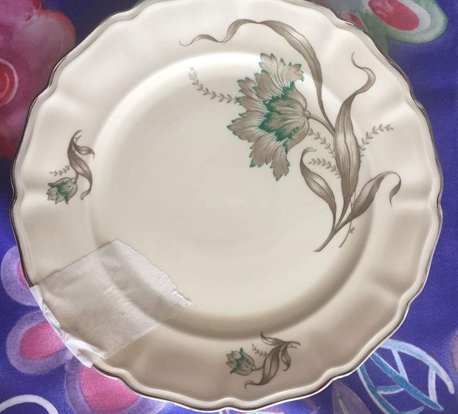R3119 Luncheon Plate by Rosenthal - Continental-1