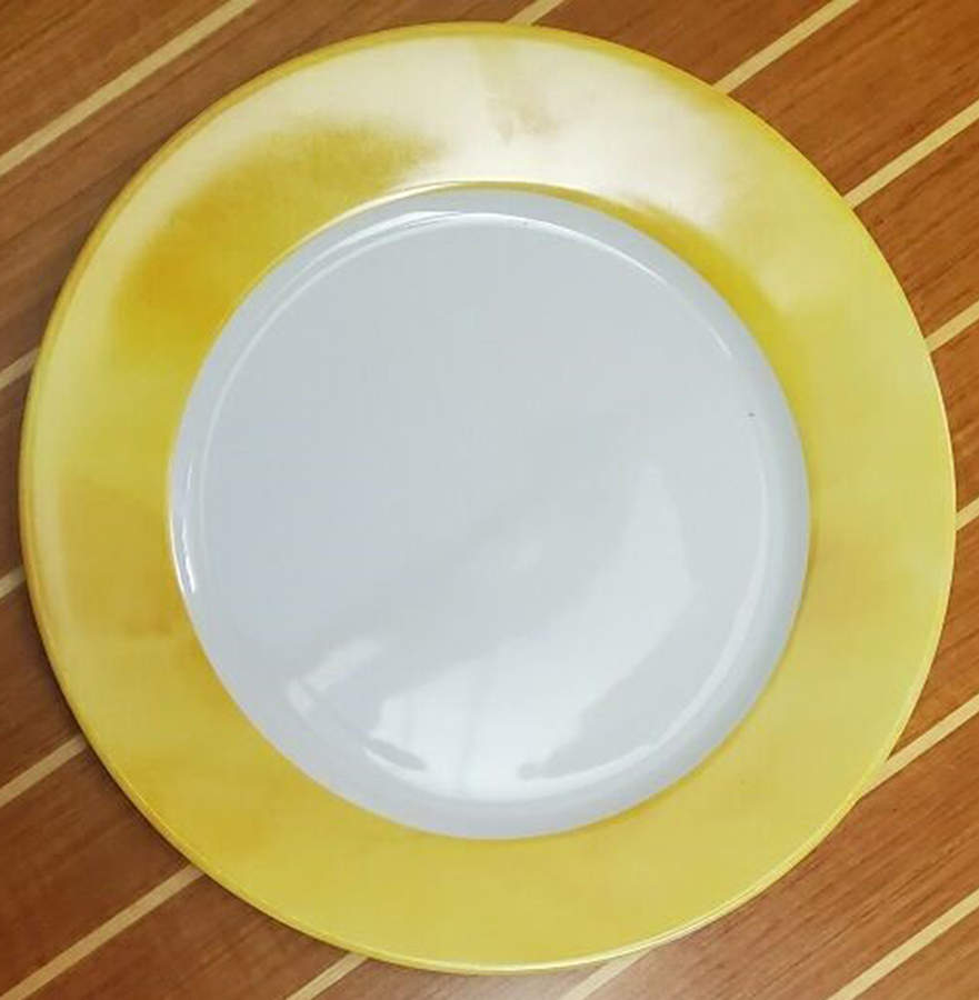 R6L29 Service Plate (Charger) by Royal Limoges-1
