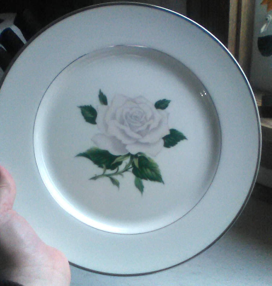 Ivory Rose Dinner Plate by Royal Song-1