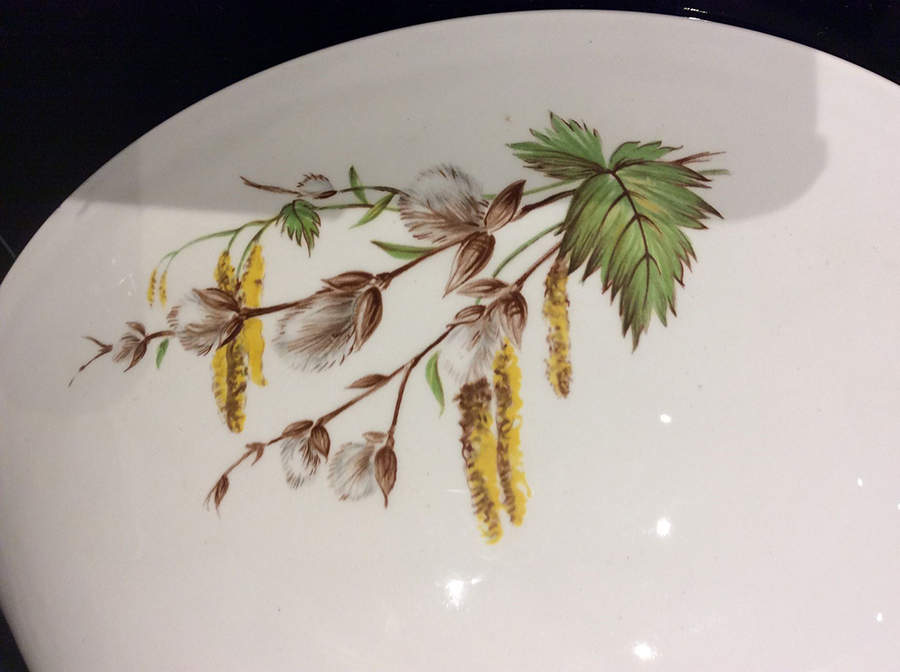 Pussy Willow Dinner Plate by Ridgway (Ridgways)-1