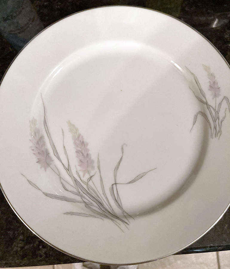 2004 Dinner Plate by Rosenthal - Continental-1
