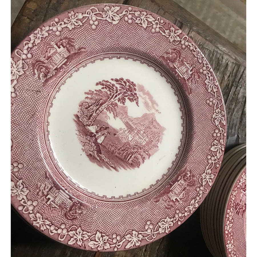 Jenny Lind Pink Dinner Plate by Royal Stafford-1