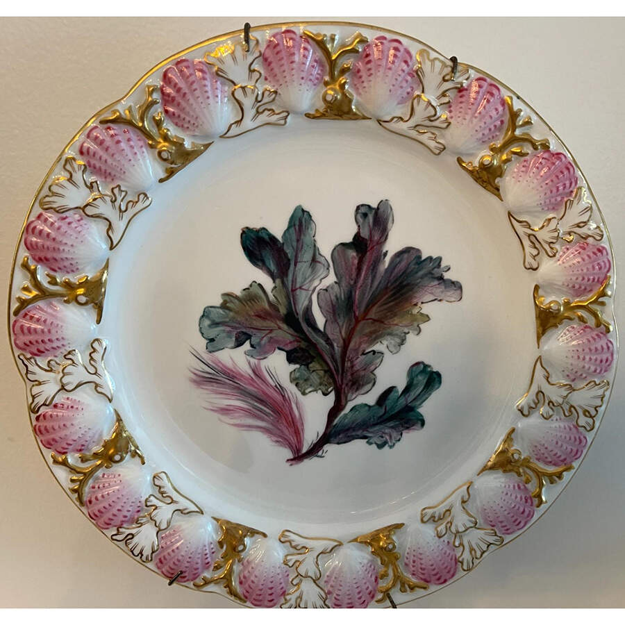 RW372 Dinner Plate by Royal Worcester-1
