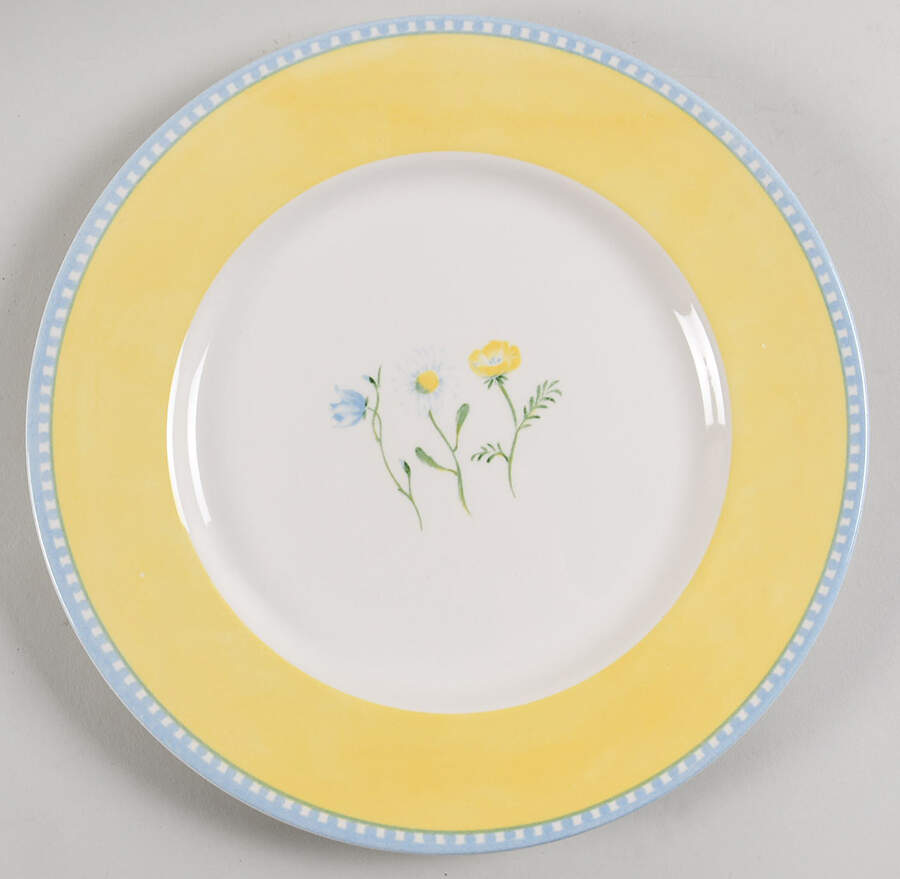 Meadow Dinner Plate by Royal Stafford-1