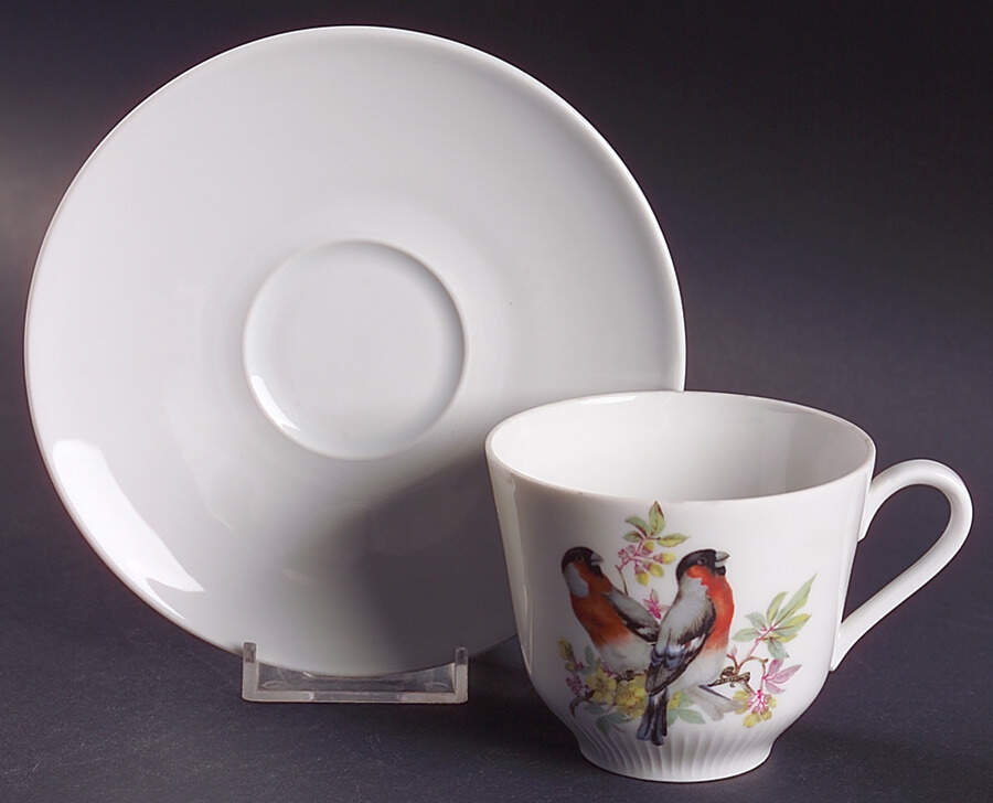 Song Birds Flat Cup & Saucer Set by Schumann - Bavaria-1