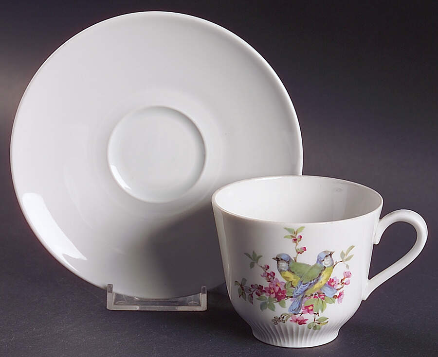 Song Birds Flat Cup & Saucer Set by Schumann - Bavaria-1