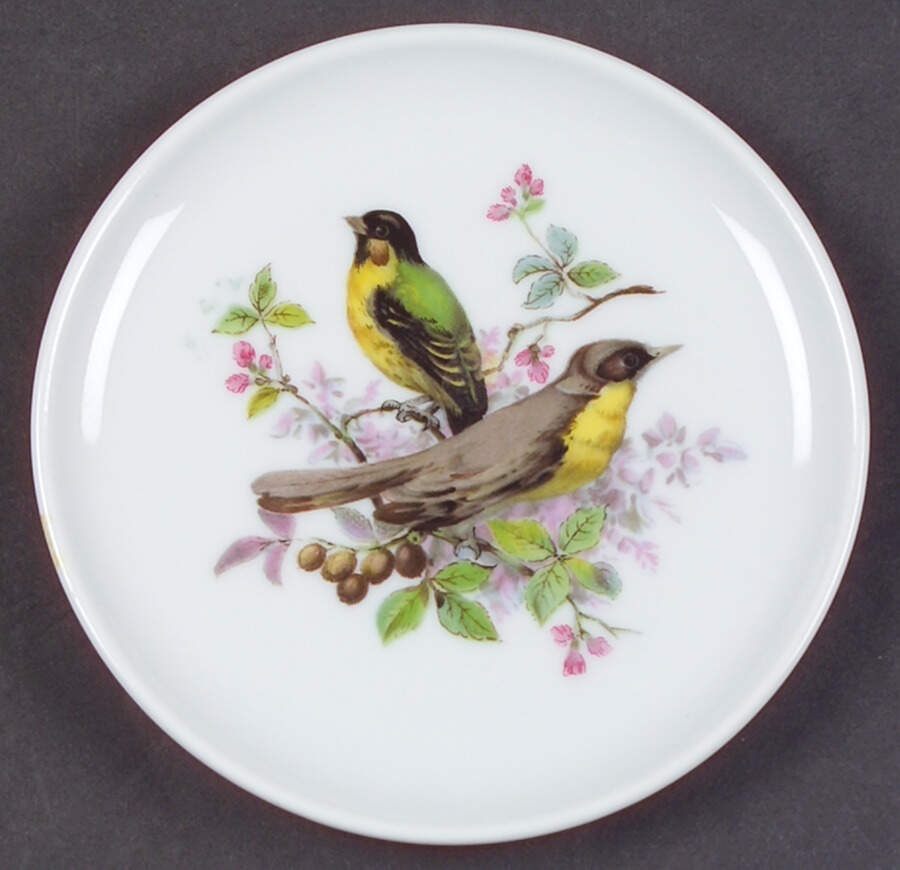 Song Birds Coaster by Schumann - Bavaria-1