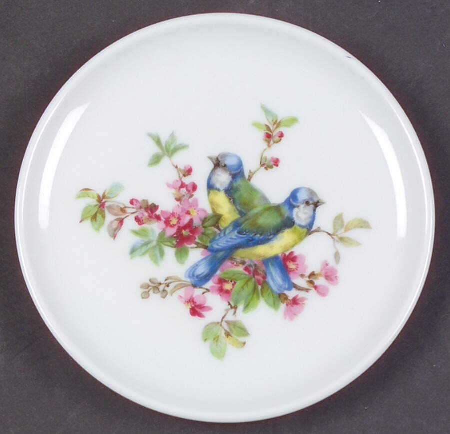 Song Birds Coaster by Schumann - Bavaria-1