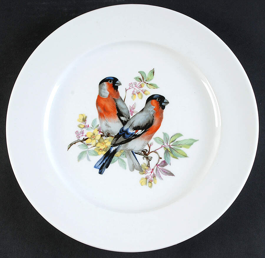Song Birds Dinner Plate by Schumann - Bavaria-1