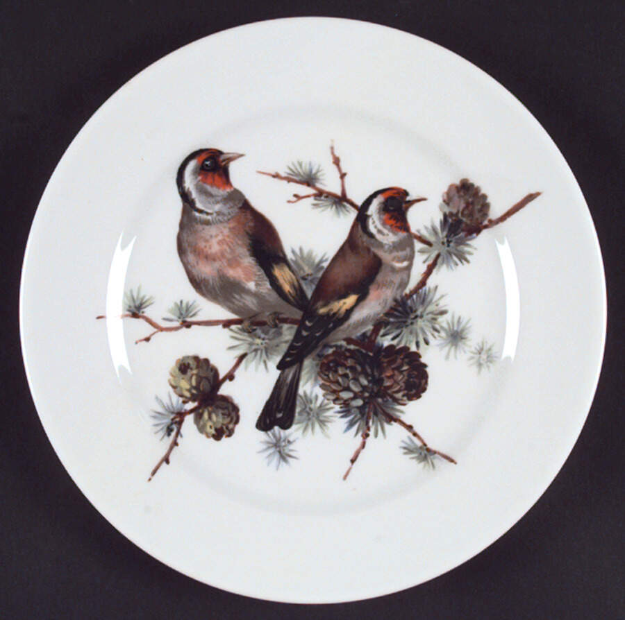 Song Birds Dinner Plate by Schumann - Bavaria-1