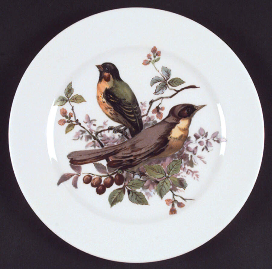 Song Birds Dinner Plate by Schumann - Bavaria-1