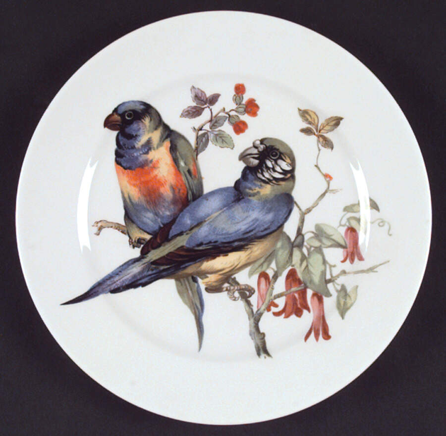 Song Birds Dinner Plate by Schumann - Bavaria-1