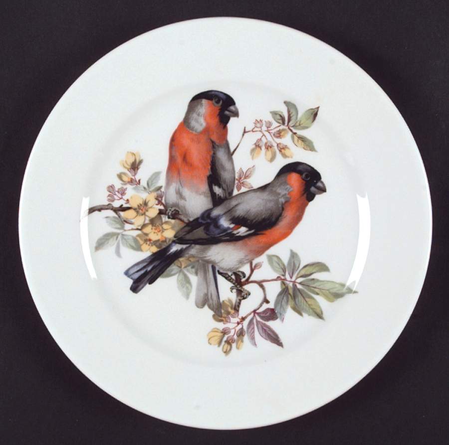 Song Birds Salad Plate by Schumann - Bavaria-1