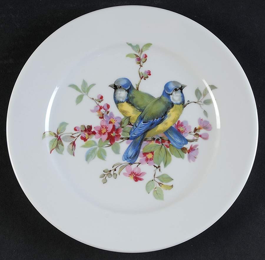 Song Birds Salad Plate by Schumann - Bavaria-1