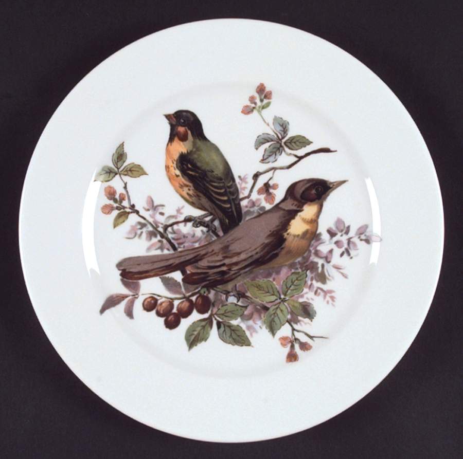Song Birds Salad Plate by Schumann - Bavaria-1