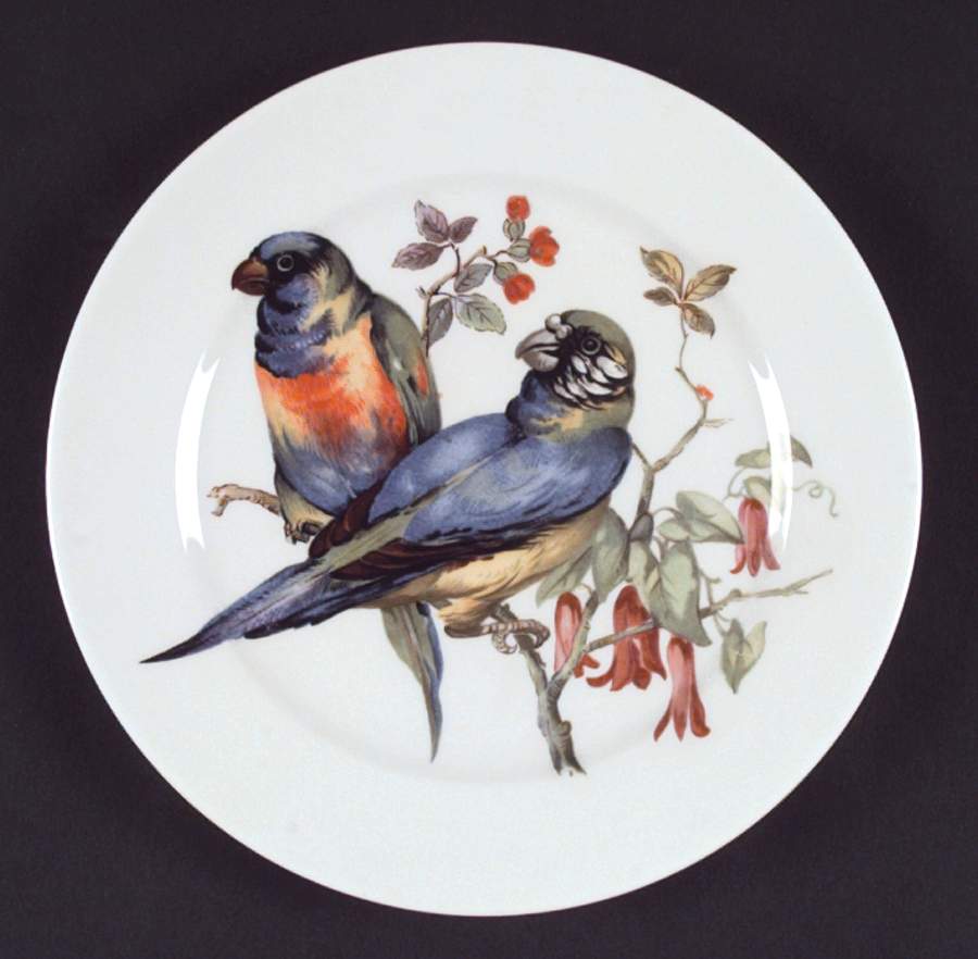 Song Birds Salad Plate by Schumann - Bavaria-1