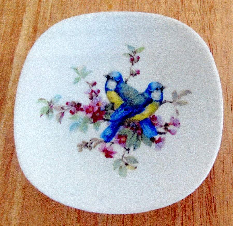 Song Birds Coaster by Schumann - Bavaria-1