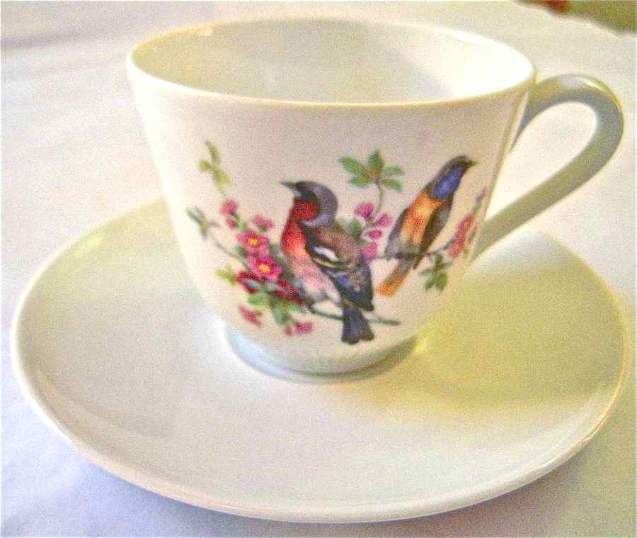 Song Birds Flat Cup & Saucer Set by Schumann - Bavaria-1