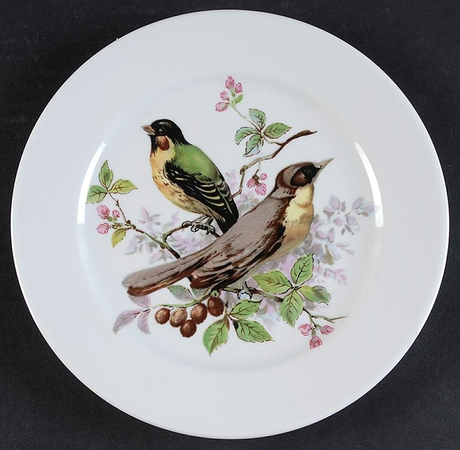 Song Birds Salad Plate by Schumann - Bavaria-1