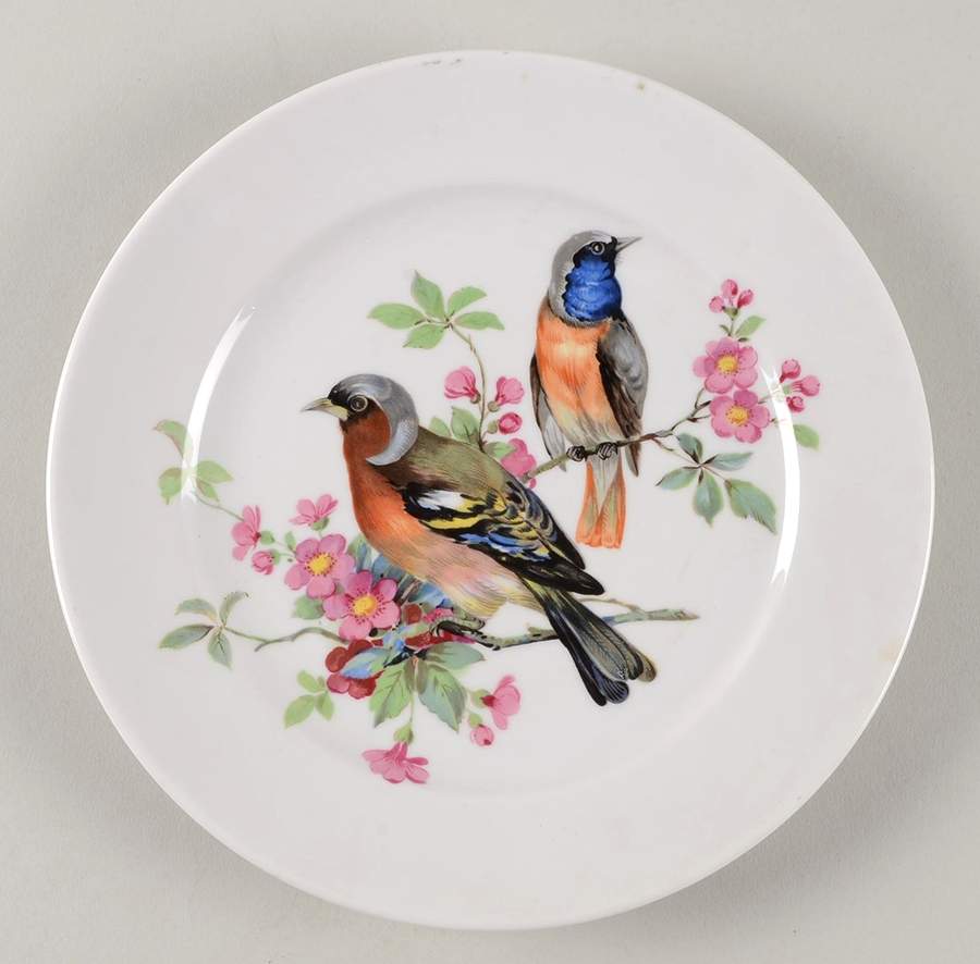 Song Birds Salad Plate by Schumann - Bavaria-1