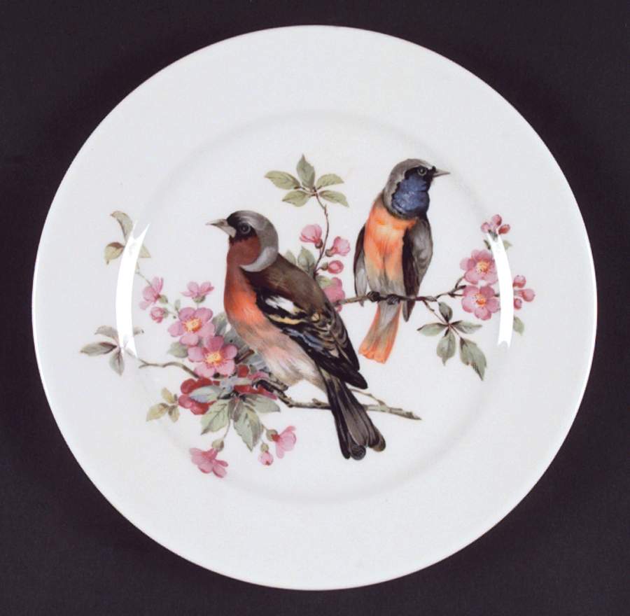 Song Birds Salad Plate by Schumann - Bavaria-1