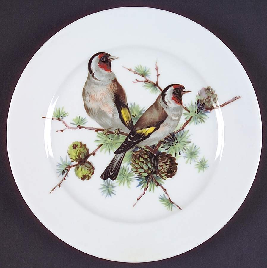 Song Birds Salad Plate by Schumann - Bavaria-1