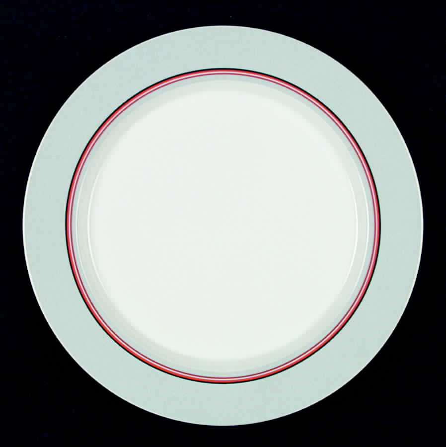Terrace Twist Gray Dinner Plate by Studio Nova-1