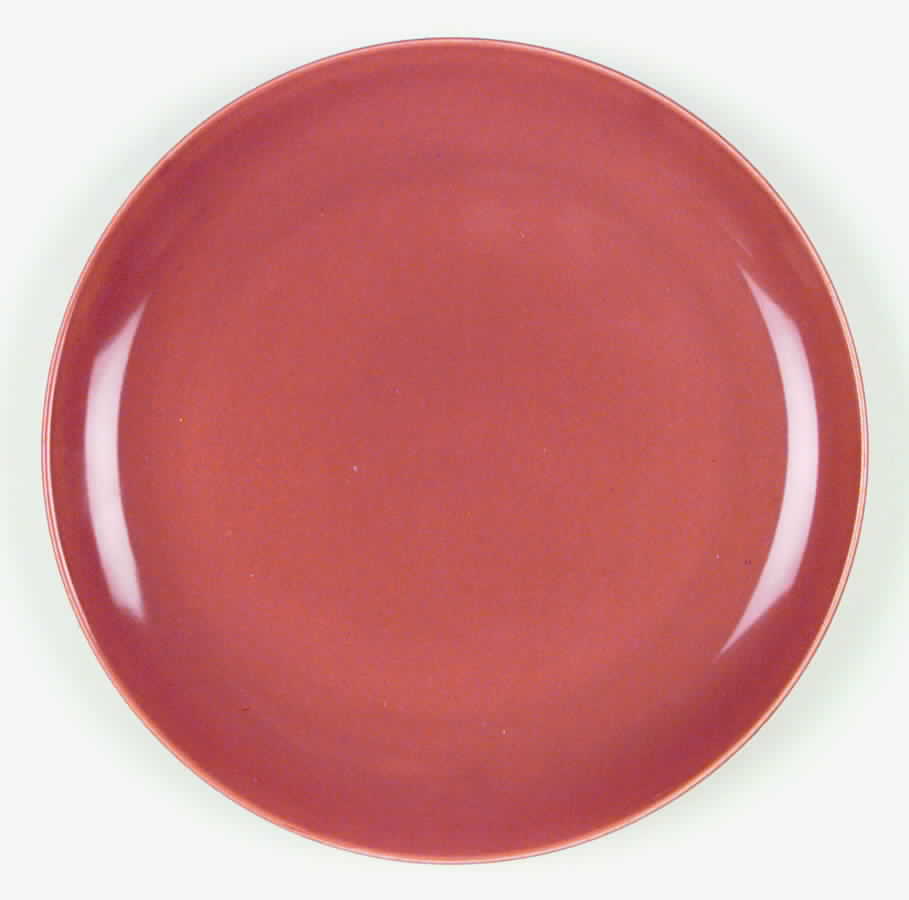 California Modern Pumpkin Dinner Plate by Santa Anita-1