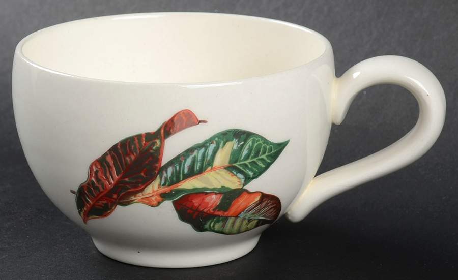 Croton Leaves Flat Cup by Santa Anita-1