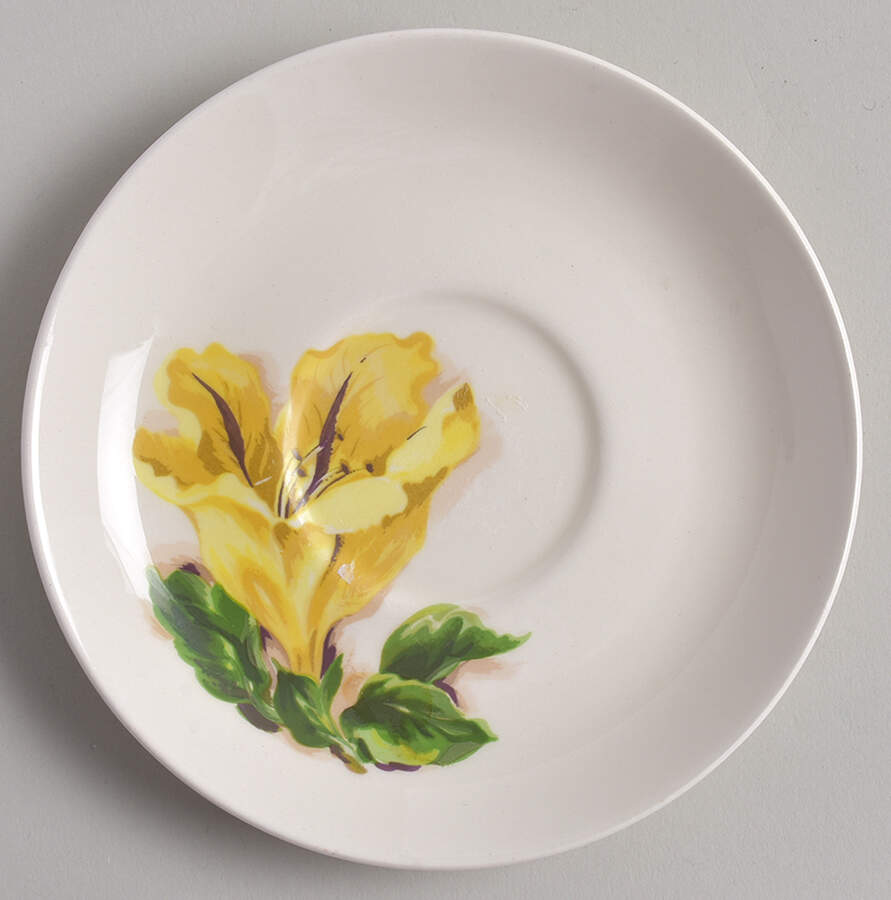 Cup of Gold Saucer by Santa Anita-1