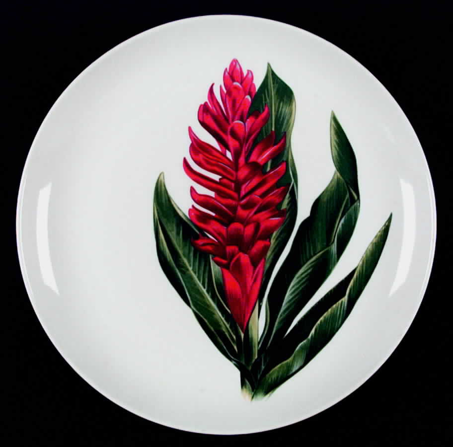 Red Ginger Dinner Plate by Santa Anita-1