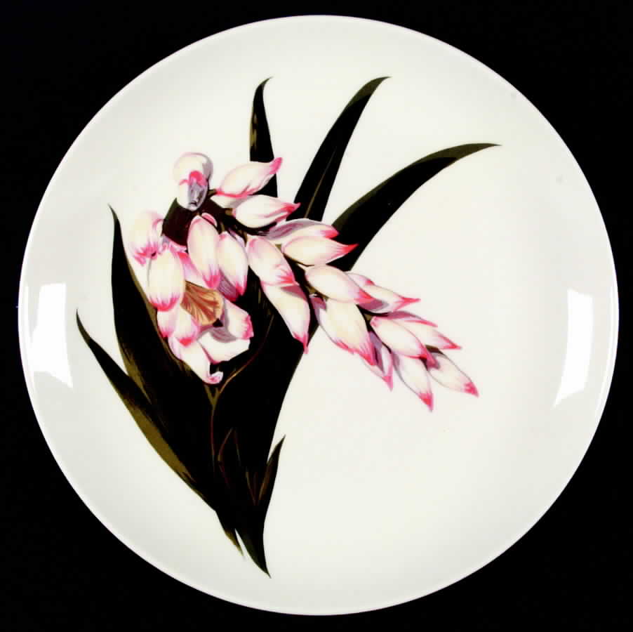 Shell Ginger Dinner Plate by Santa Anita-1