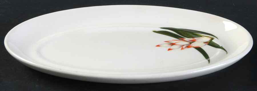 Shell Ginger 1/4 Lb Butter No Lid by Santa Anita-1