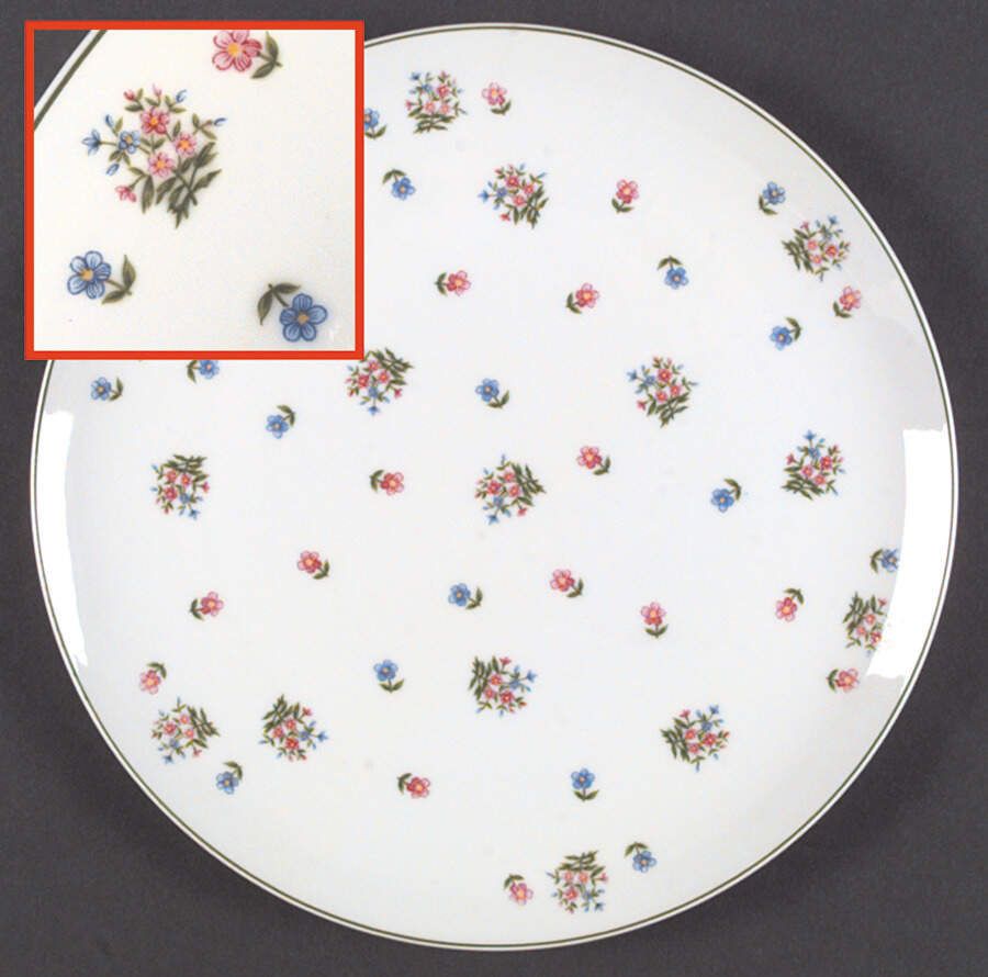 Petite Fleur Dinner Plate by Sadek-1