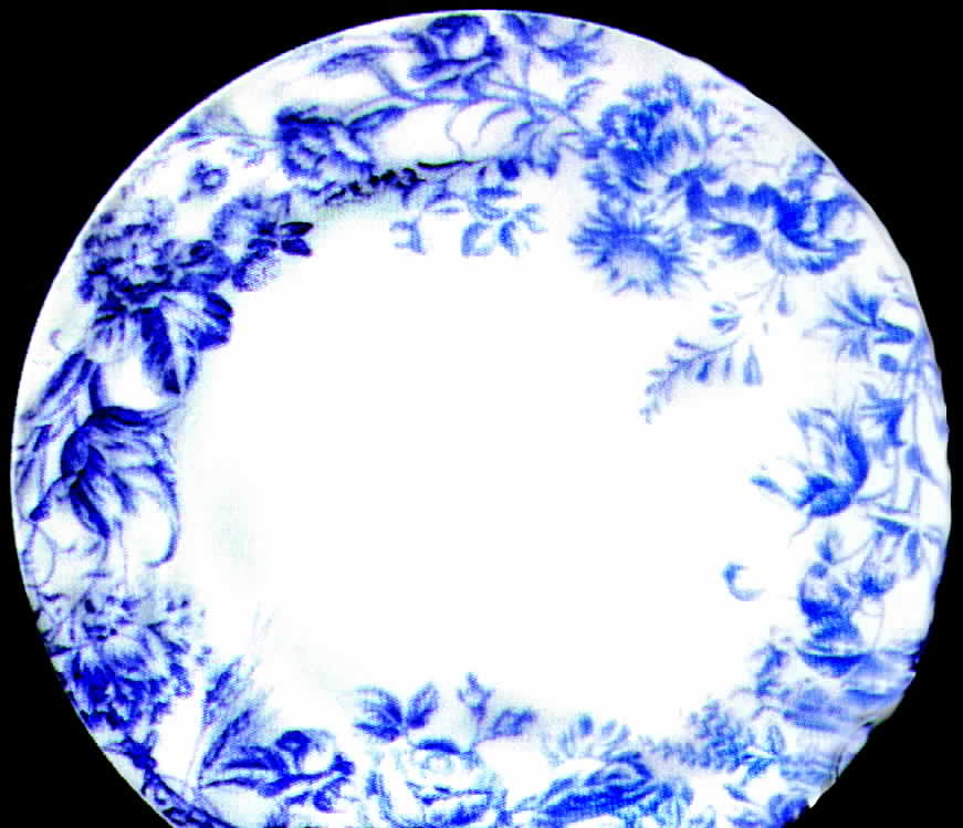 Plantation Toile Salad/Dessert Plate by Sadek-1