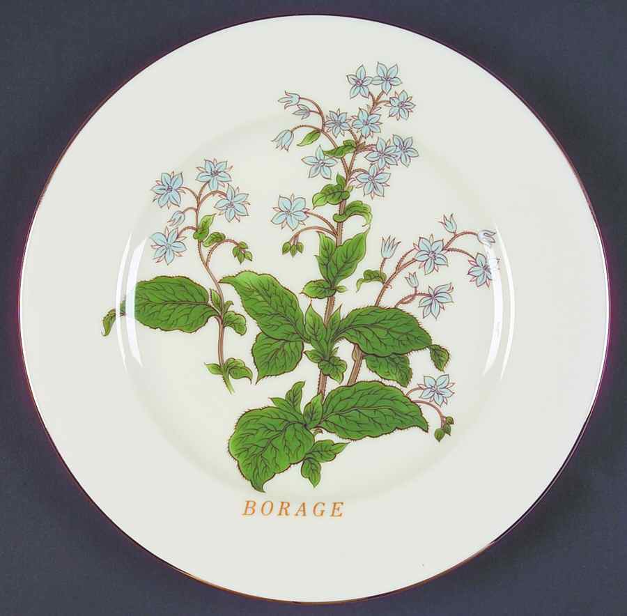 SAD13 Salad Plate by Sadek-1