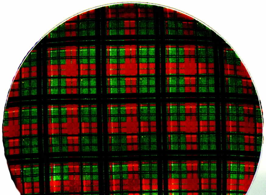 Tartan Dessert/Pie Plate by Sadek-1