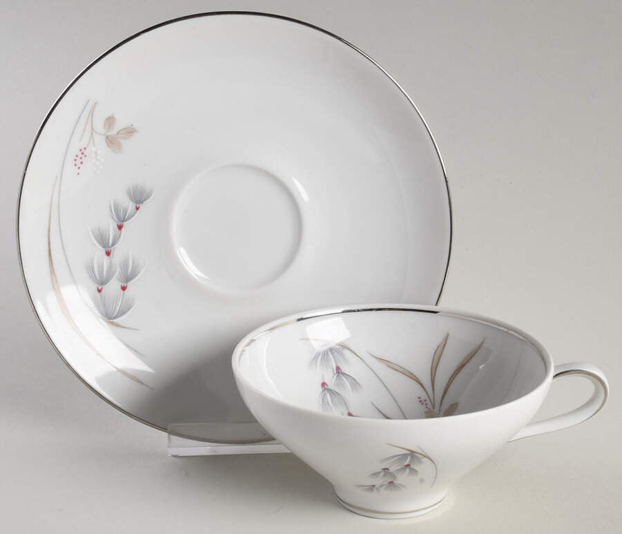 Fantasy Flat Cup & Saucer Set by Saladmaster-1