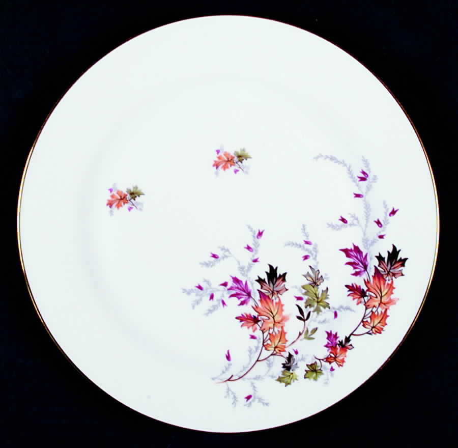 Indian Summer Dinner Plate by Saladmaster-1