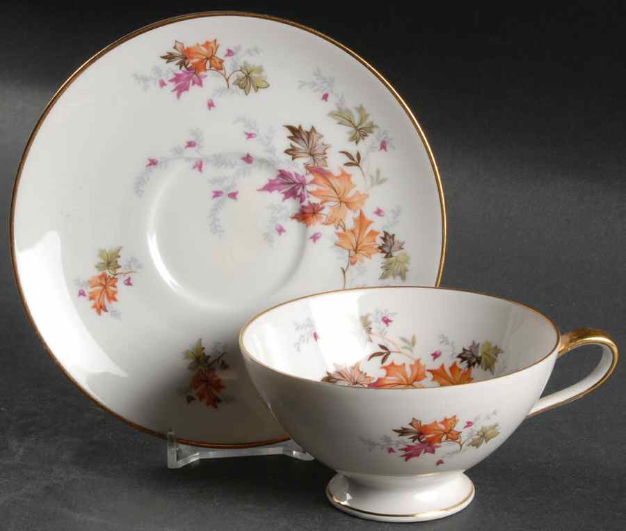 Indian Summer Footed Cup & Saucer Set by Saladmaster-1