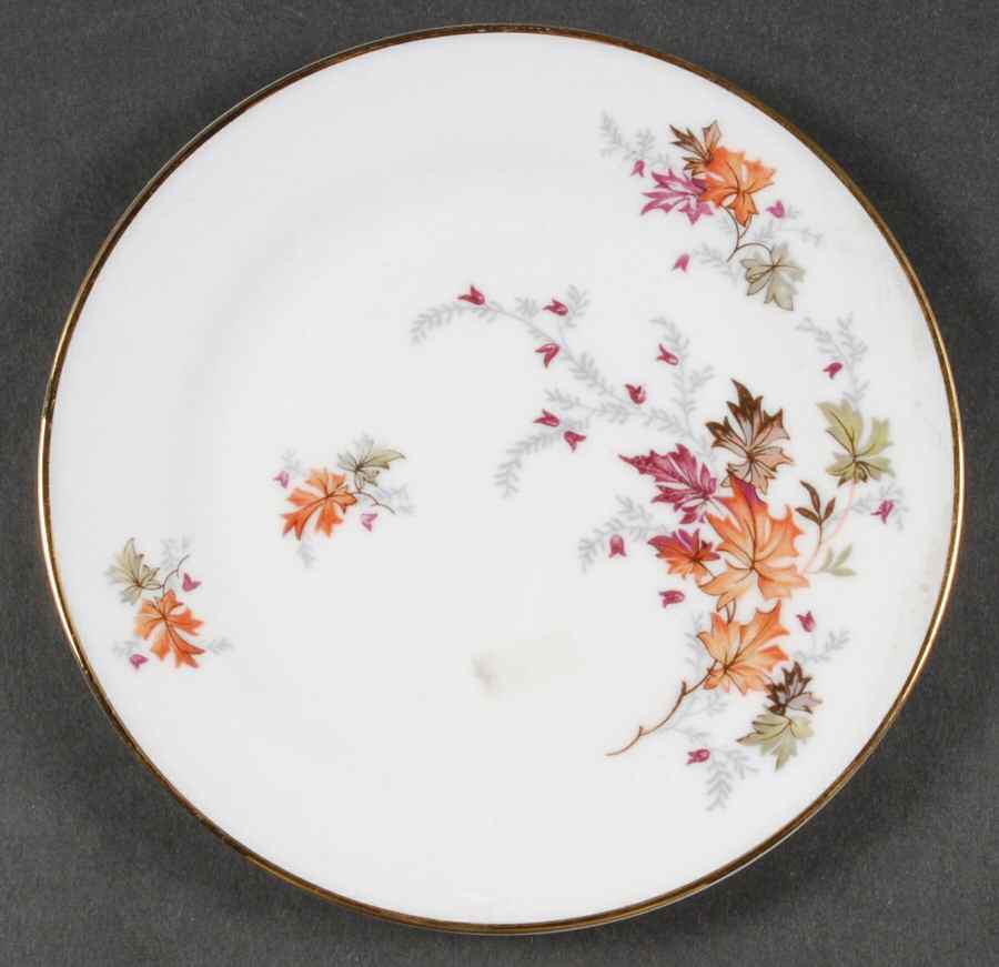 Indian Summer Bread & Butter Plate by Saladmaster-1