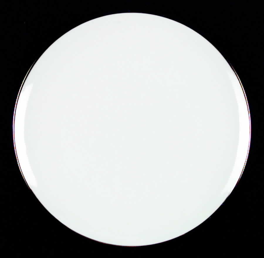 Splendor Dinner Plate by Saladmaster-1