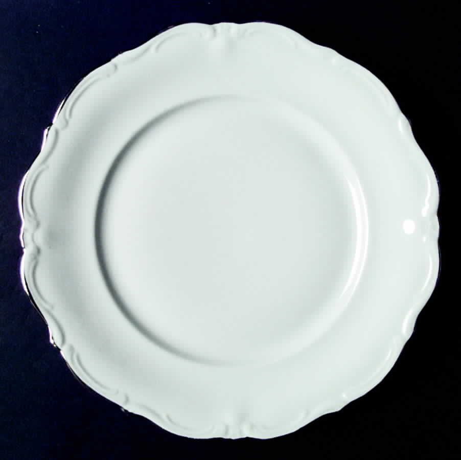 Symphony Dinner Plate by Saladmaster-1