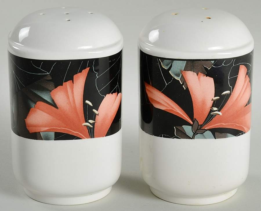 Artistica Salt & Pepper Set by Sango-1