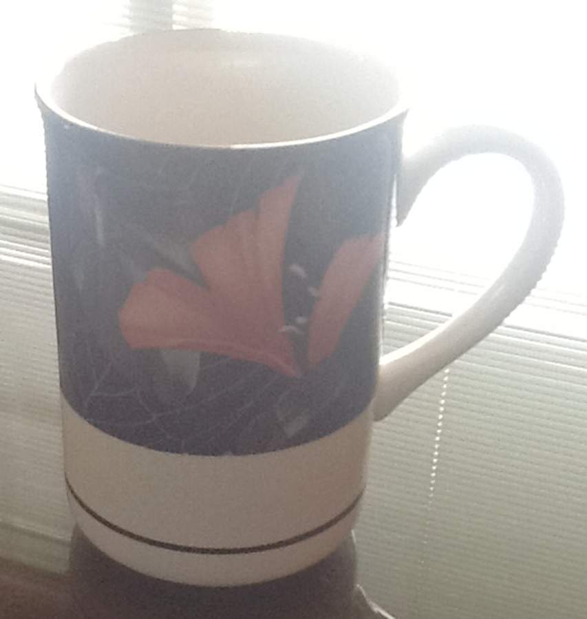 Artistica Mug by Sango-1