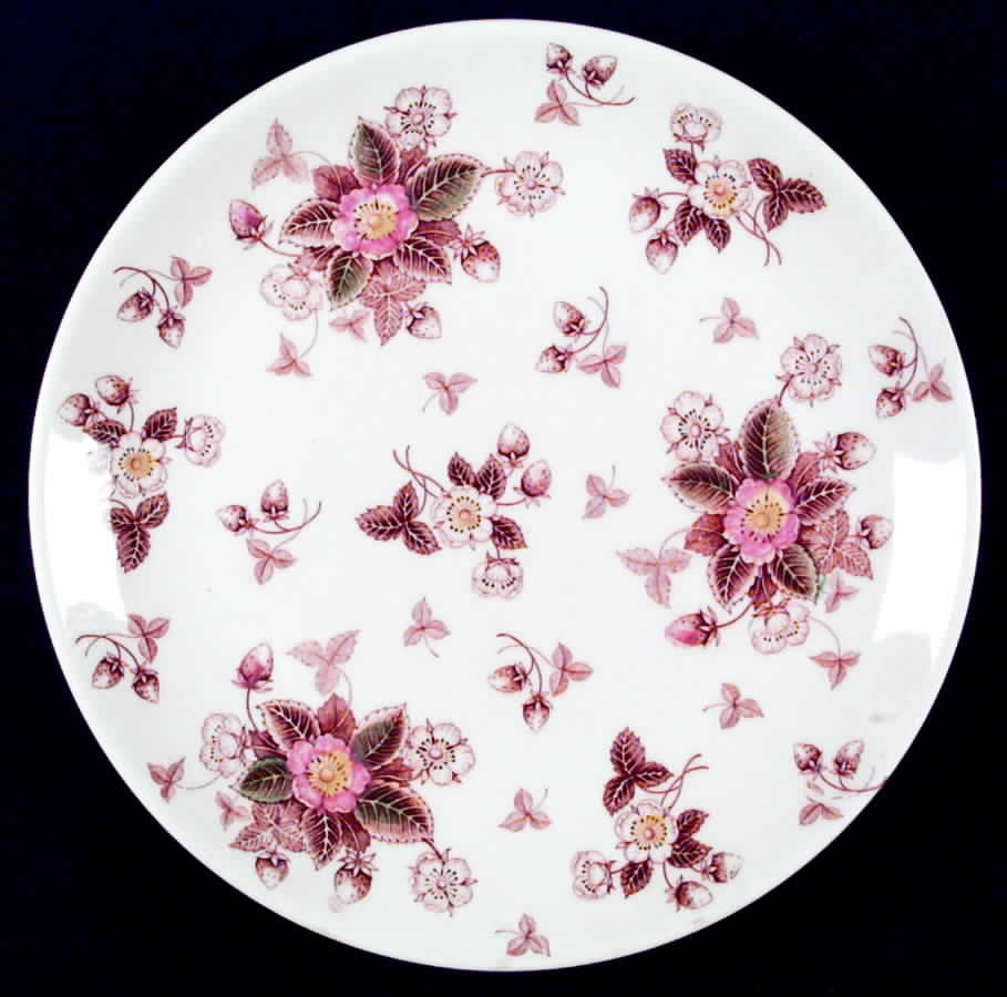 Caroline (No Number) Dinner Plate by Sango-1