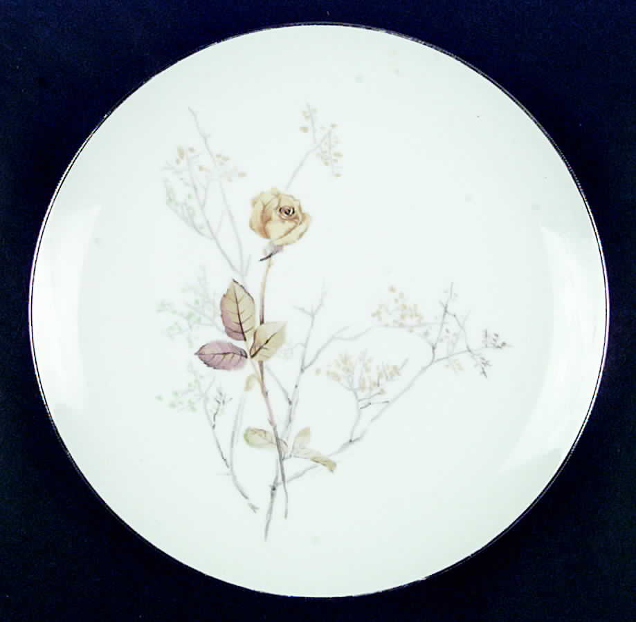 Charlote (Platinum Trim) Dinner Plate by Sango-1