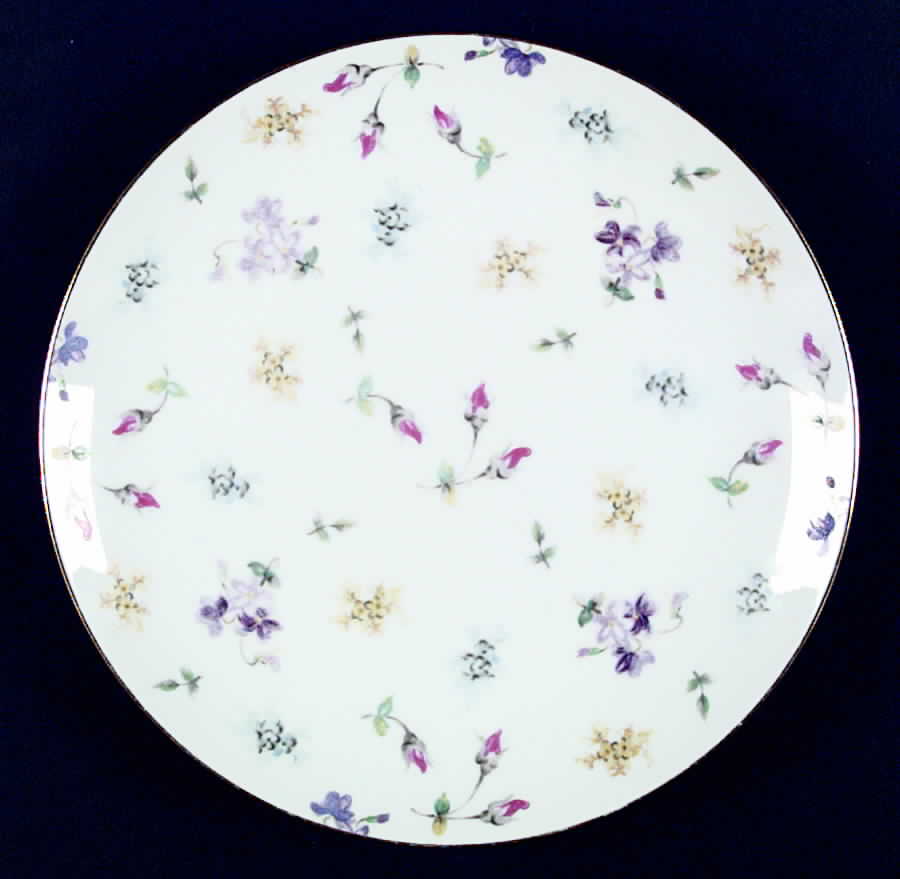 Charm Dinner Plate by Sango-1